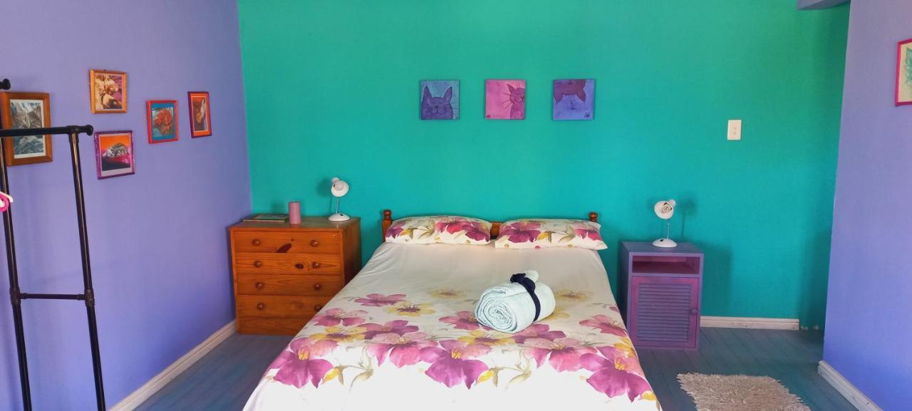 Cat Nap Cottage เบตตีส์เบย์ ภายนอก รูปภาพ