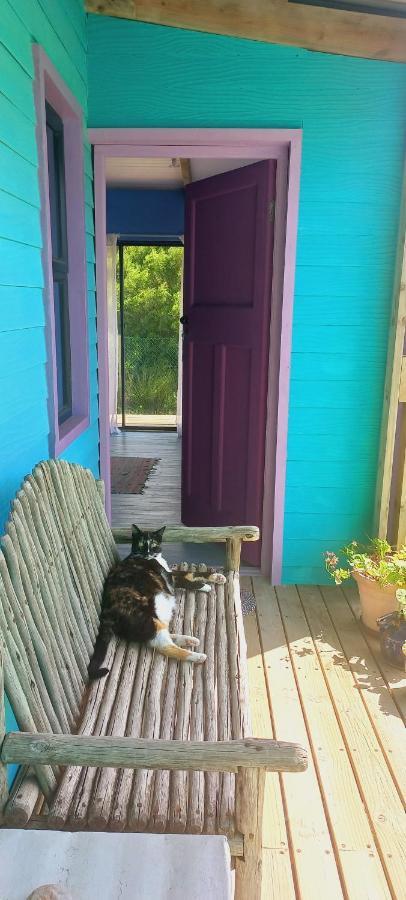 Cat Nap Cottage เบตตีส์เบย์ ภายนอก รูปภาพ