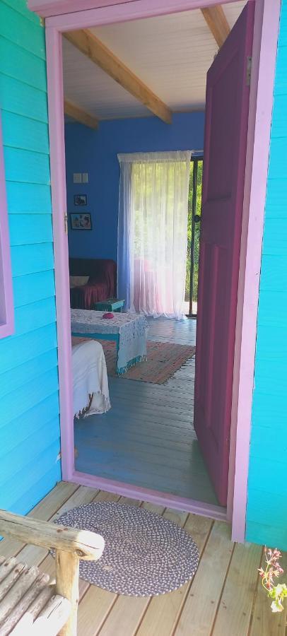 Cat Nap Cottage เบตตีส์เบย์ ภายนอก รูปภาพ
